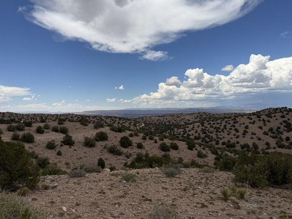 Caballo Palido , Placitas, NM 87043