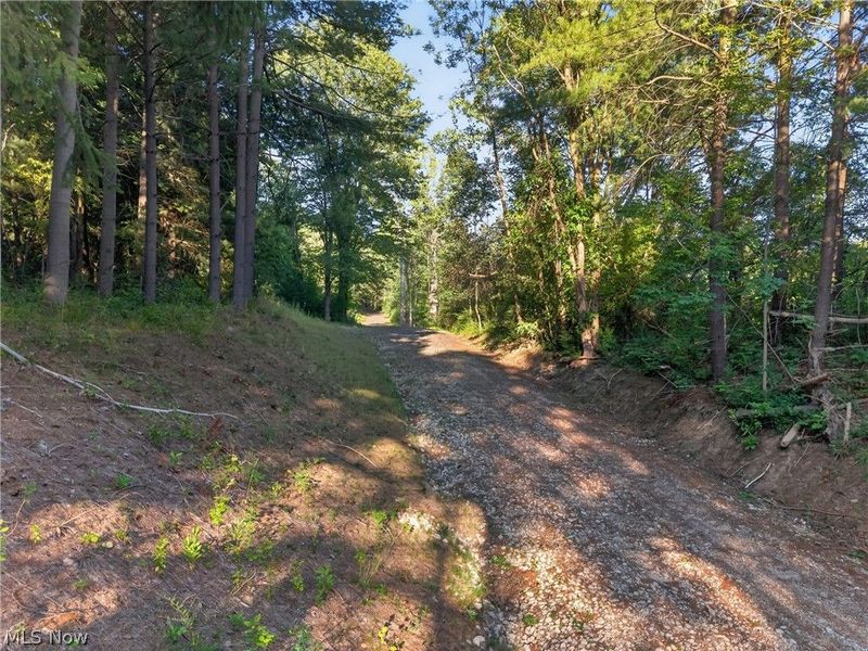 14493 Chillicothe Road, Novelty, OH 44072 Photo 11