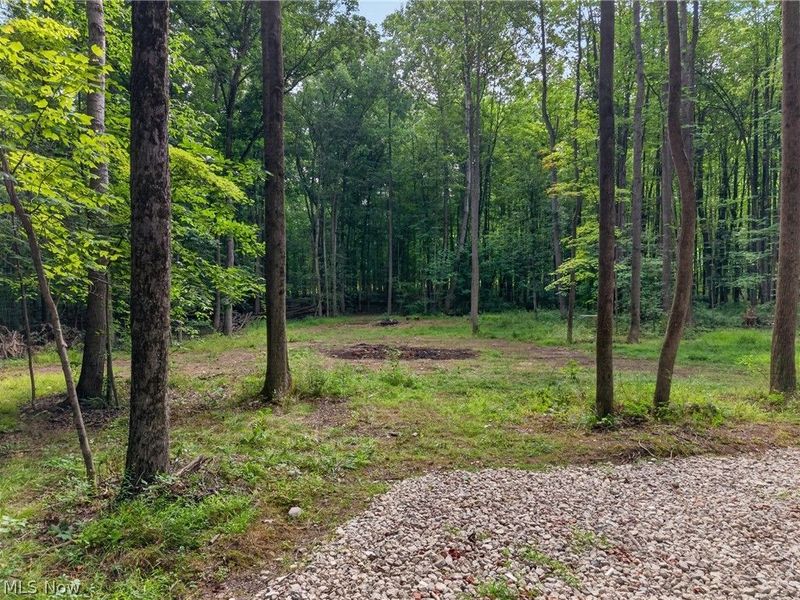 14493 Chillicothe Road, Novelty, OH 44072 Photo 6