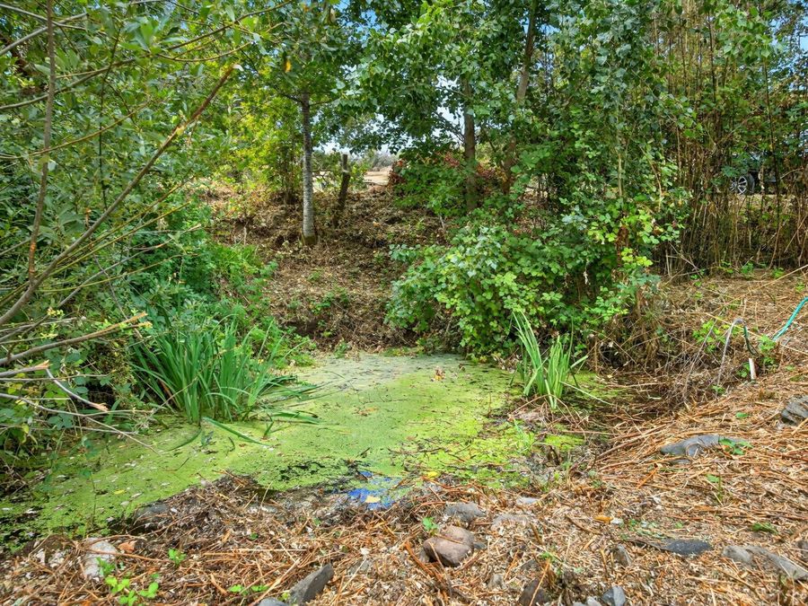 Property Image 73