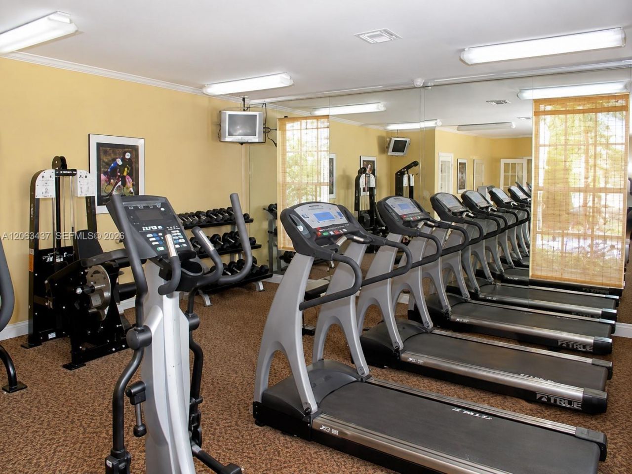 1239 SW 46th Ave, Unit 904, Pompano Beach, FL 33069 Photo