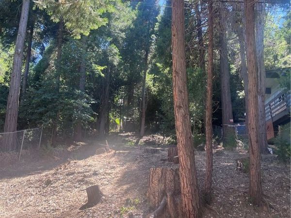 760 Woodland, Crestline, CA 92325