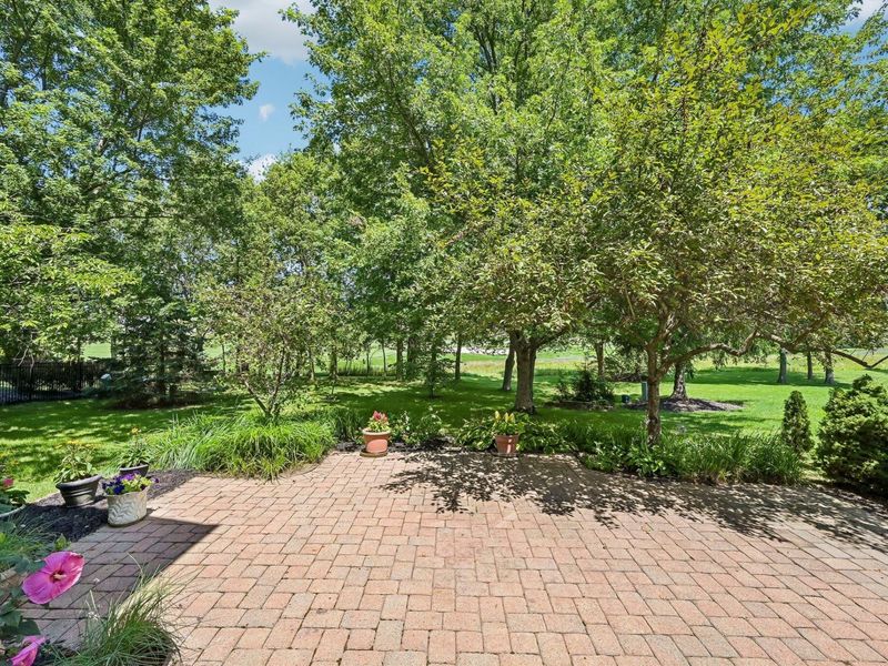 4690 Cherry Glen Drive, Powell, OH 43065 Photo 25