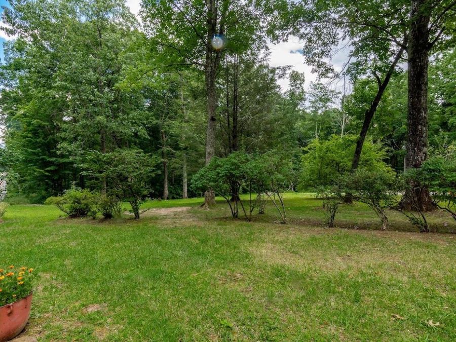 Property Image 56