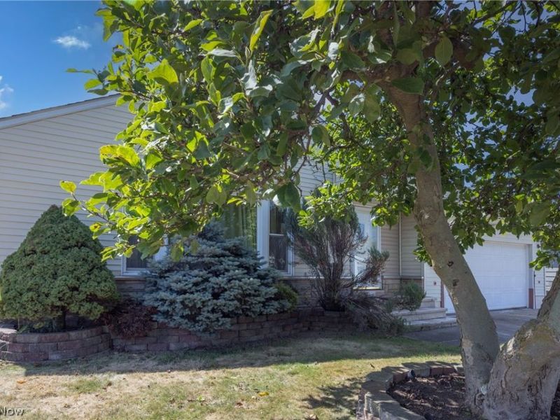 1668 Chelmsford, Mayfield Heights, OH 44124 Photo 3