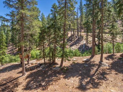 8975 Glen Drive , Tahoma, CA 96142 Photo