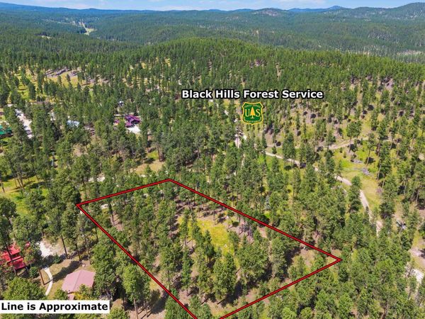 Lot 11 SUNNYSIDE GULCH RD, Silver City, SD 57702