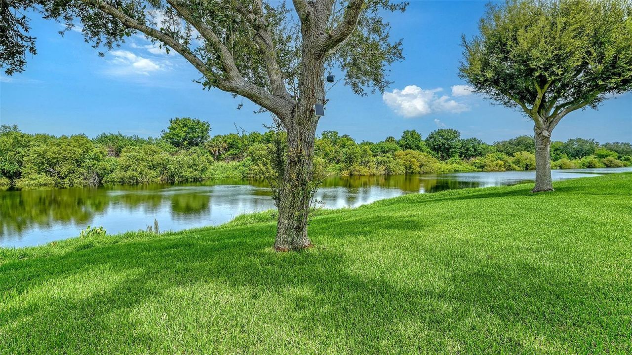 7226 34th Street E, Sarasota, FL 34243 Photo