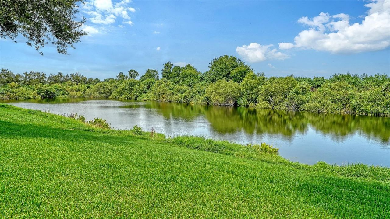 7226 34th Street E, Sarasota, FL 34243 Photo