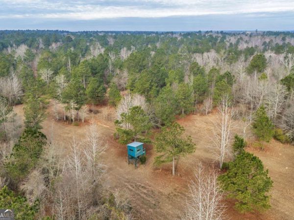 241 Foskey Cemetary Road, Adrian, GA 31002