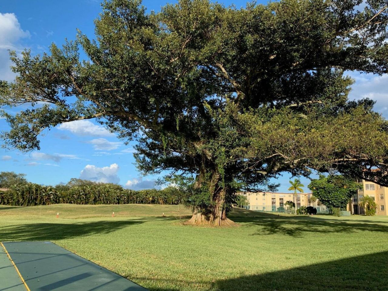 9355 SW 8th Street, Unit 208, Boca Raton, FL 33428 Photo
