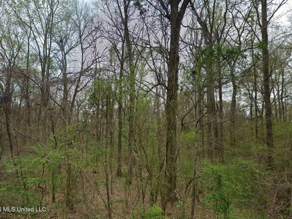 3768 Bird Cove, Hernando, MS 38632