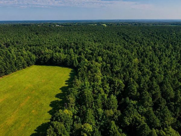 TBD CHURCH Road, Arkadelphia, AR 71923