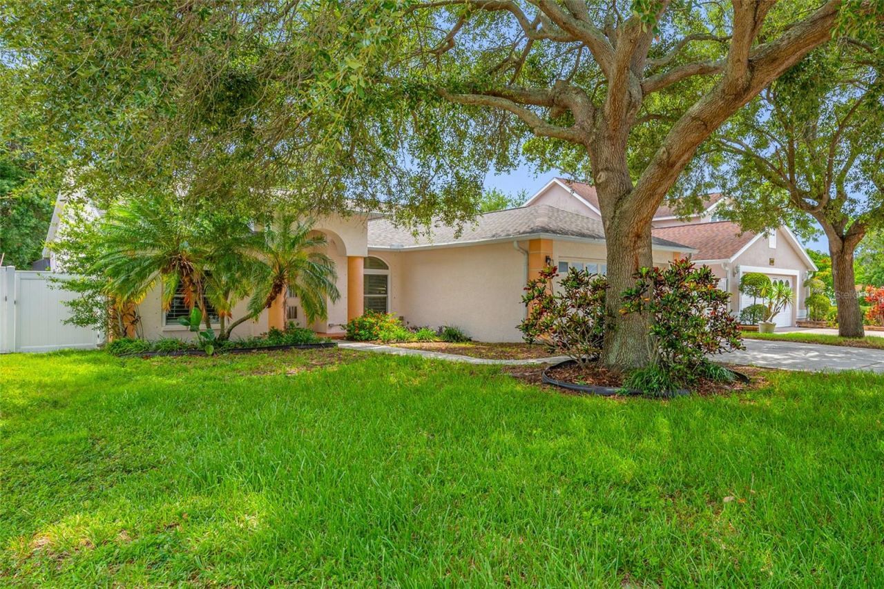 12965 Pineforest Way W, Largo, FL 33773 Photo
