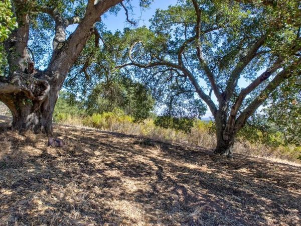 8272 Sassafras Court, Pleasanton, CA 94566