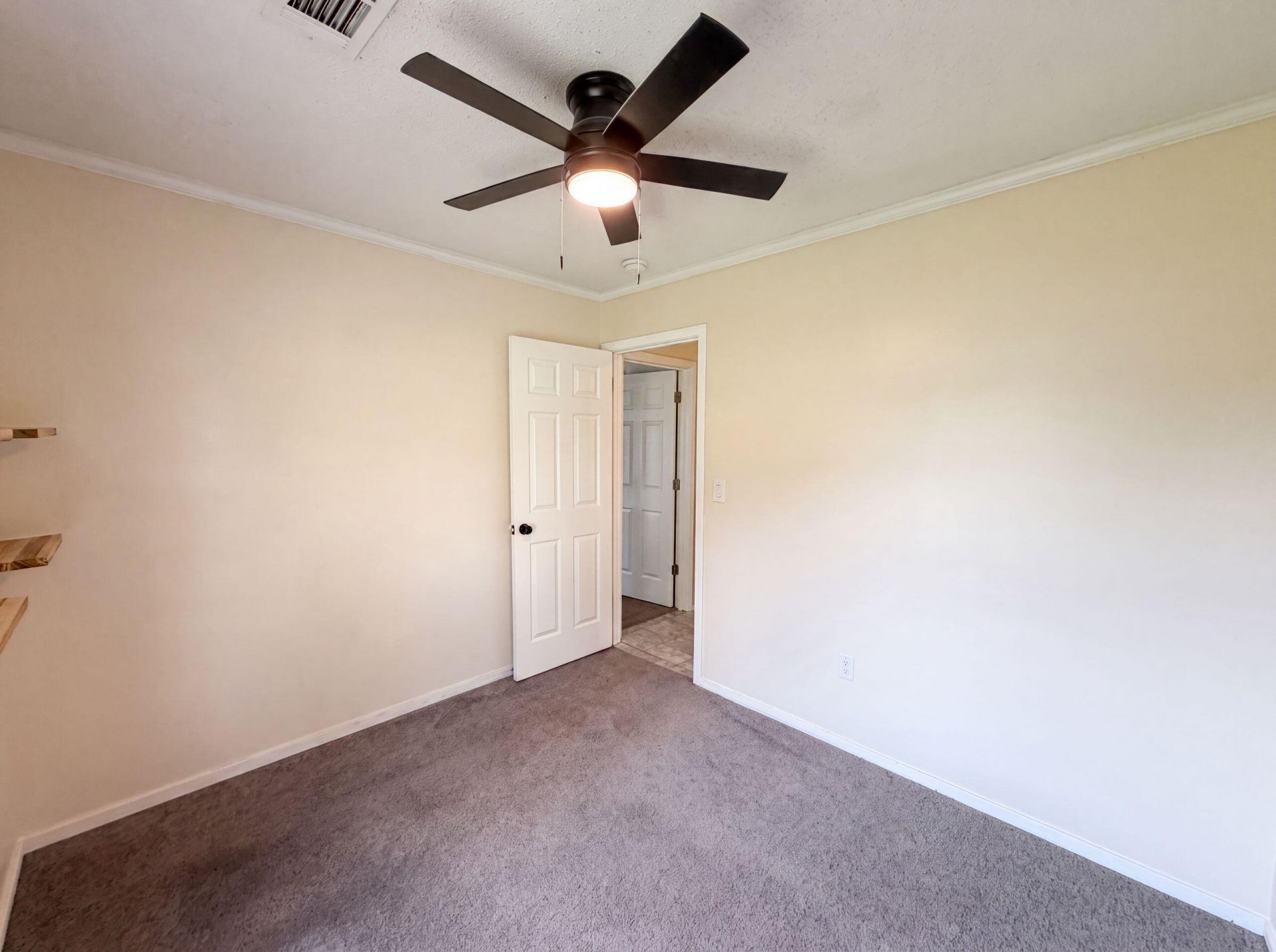 218 Persimmon Circle Photo 11