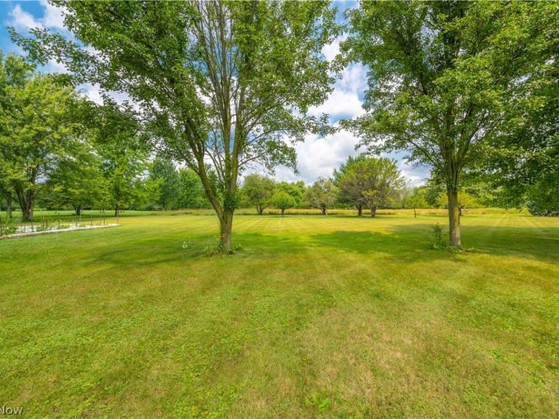 33640 Brokaw Road, Columbia Station, OH 44028 Photo 45
