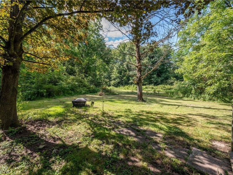 1263 Depot Phalanx Street, Southington, OH 44470 Photo 34