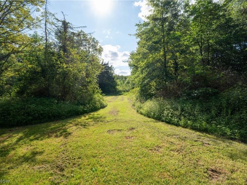 1263 Depot Phalanx Street, Southington, OH 44470 Photo 37