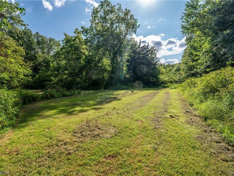 1263 Depot Phalanx Street, Southington, OH 44470 Photo 38