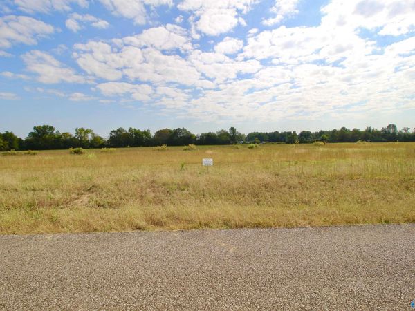 17240 Red Hill Road, Athens, AL 35611