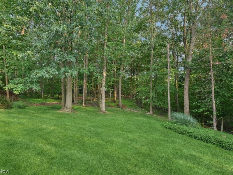 37540 Delamere Court, Solon, OH 44139 Photo 44
