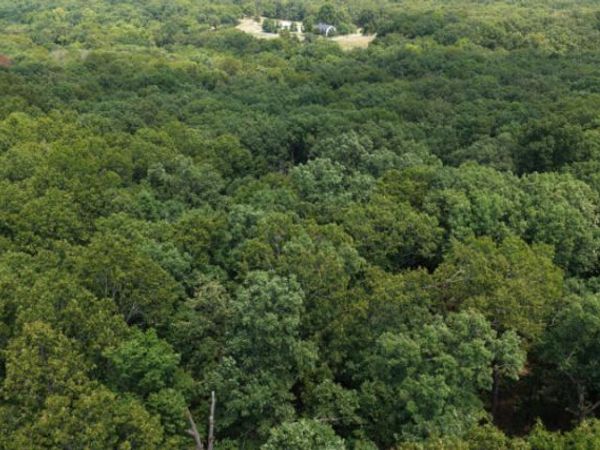 000 Highway 5, Gravois Mills, MO 65037