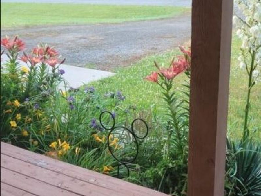 Property Image 61