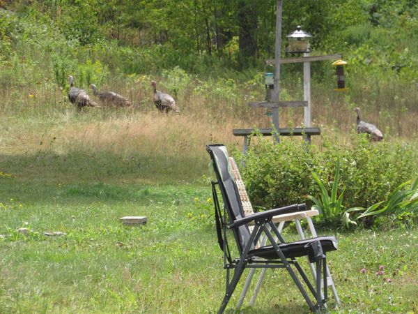 420 Nadeau Park Road, Coventry, VT 05825