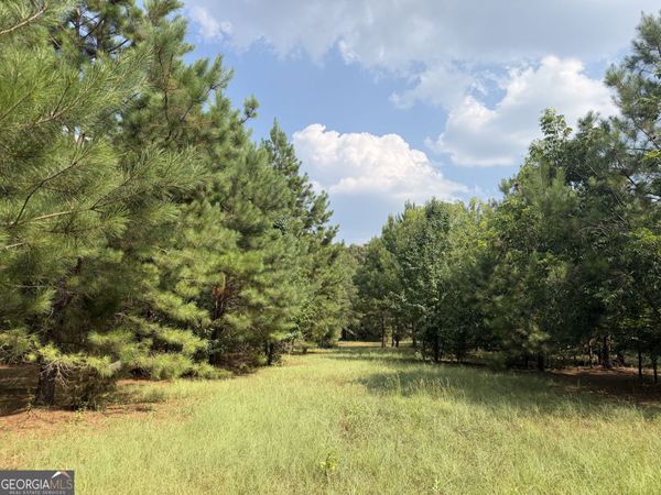 014 S Carter Fish Pond Road, Plains, GA 31780