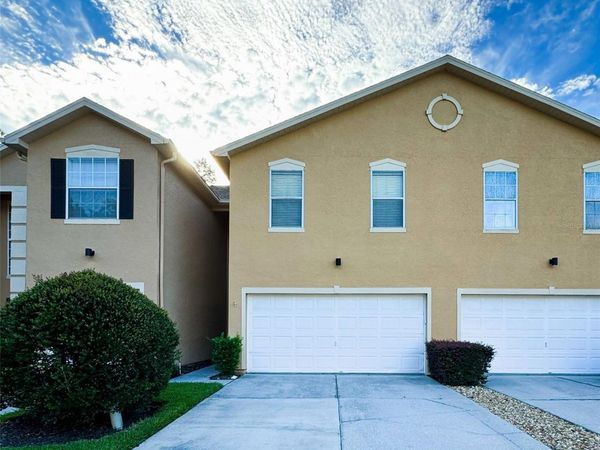 16305 FAIRFORD PALMS COURT , TAMPA, FL 33647