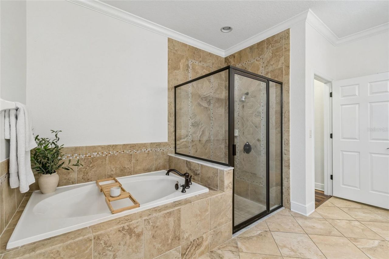 1657 Feather Grass Loop, Lutz, FL 33558 Photo