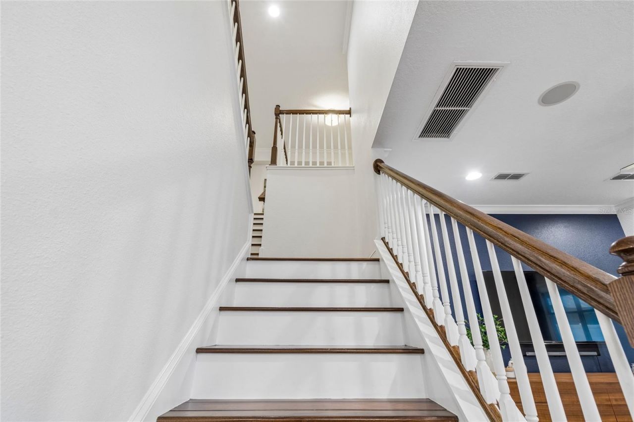 1657 Feather Grass Loop, Lutz, FL 33558 Photo