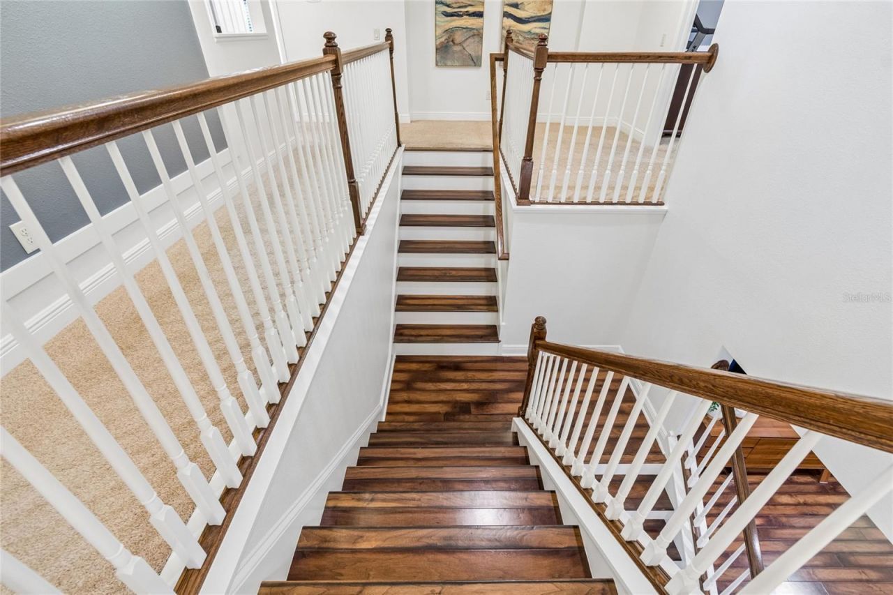 1657 Feather Grass Loop, Lutz, FL 33558 Photo