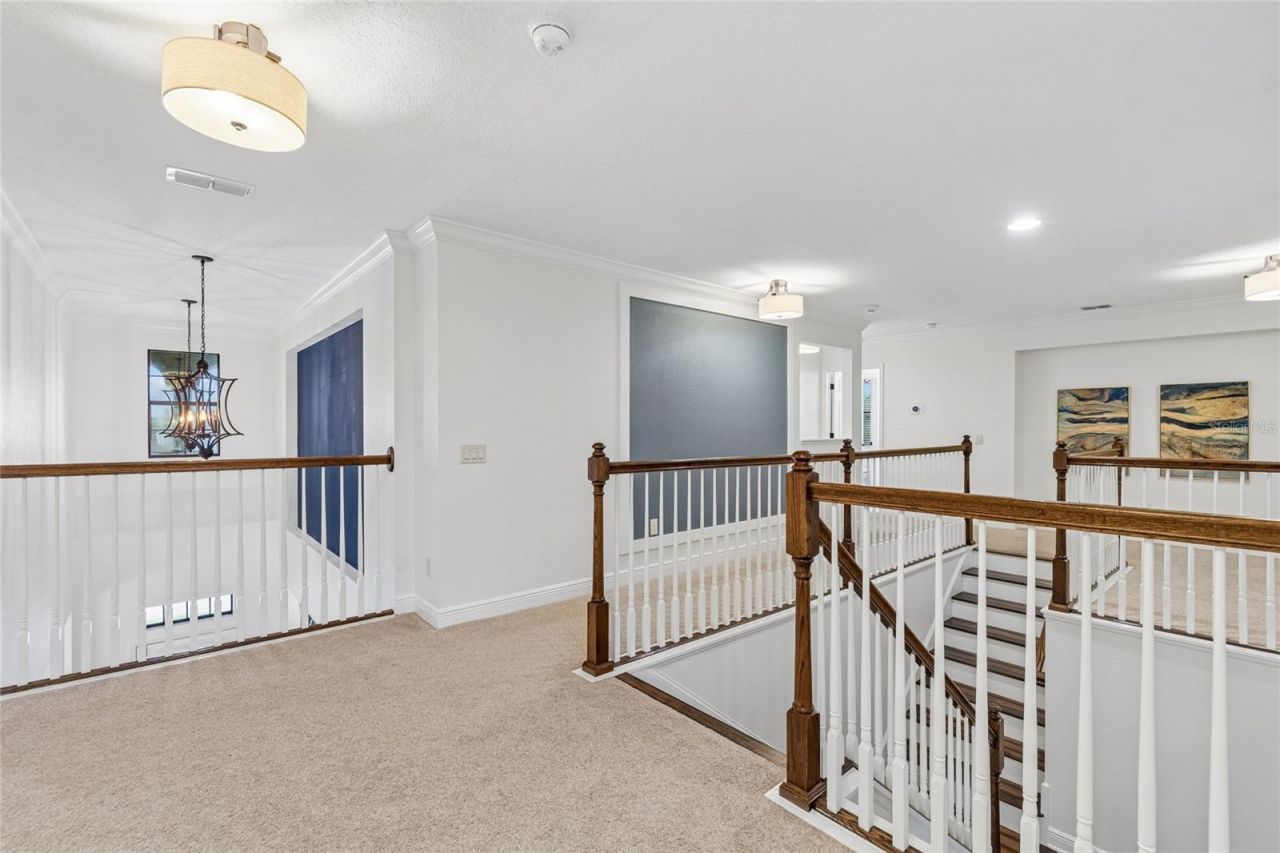 1657 Feather Grass Loop, Lutz, FL 33558 Photo