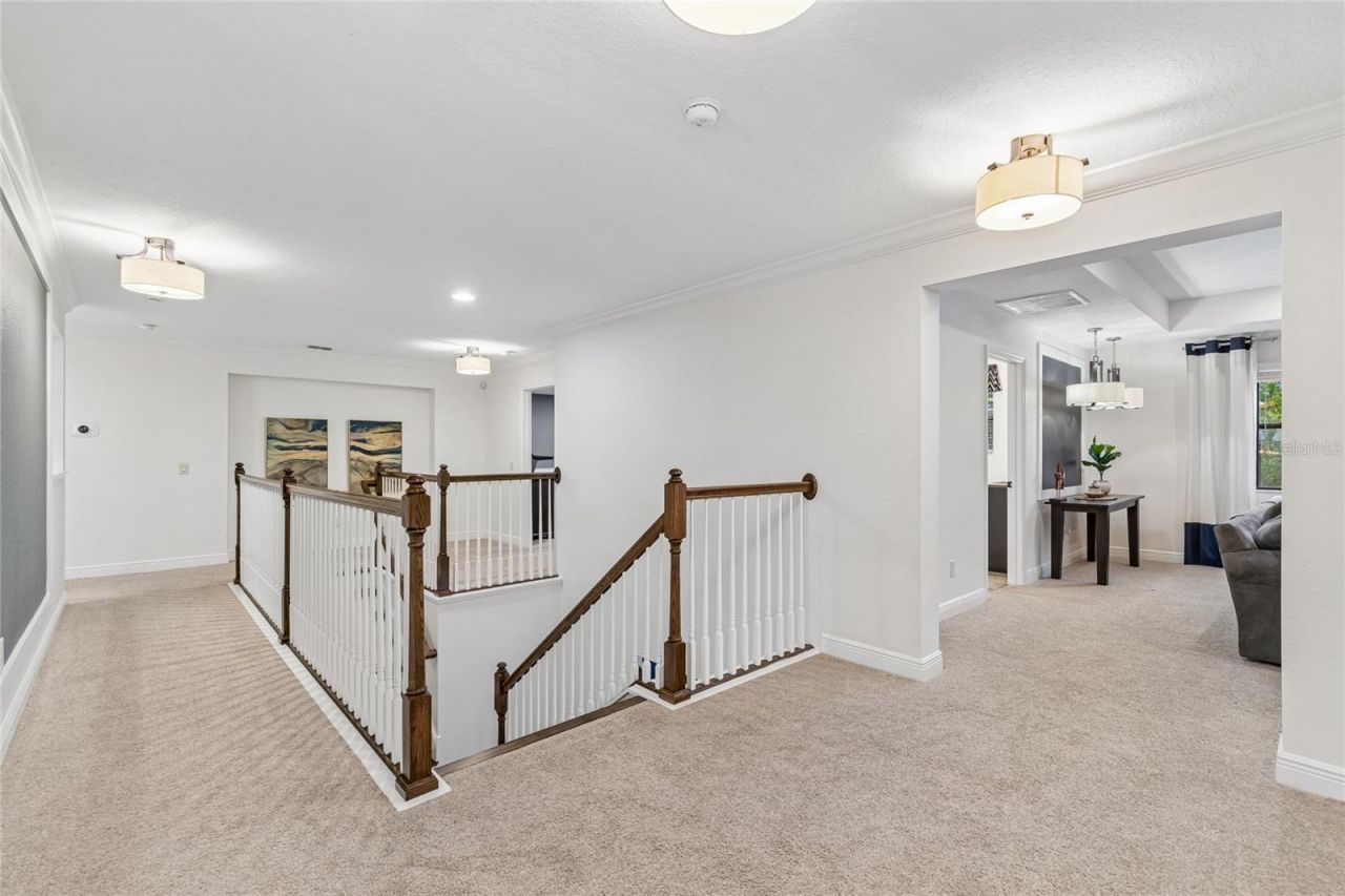 1657 Feather Grass Loop, Lutz, FL 33558 Photo