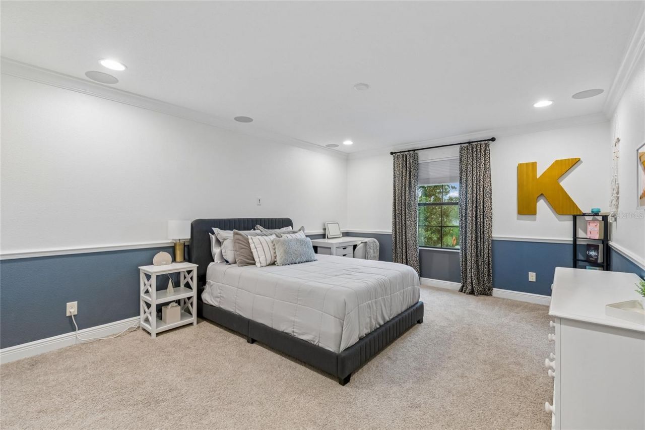 1657 Feather Grass Loop, Lutz, FL 33558 Photo