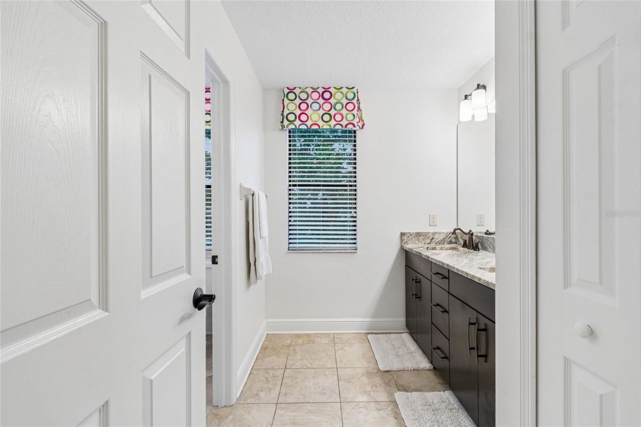 1657 Feather Grass Loop, Lutz, FL 33558 Photo
