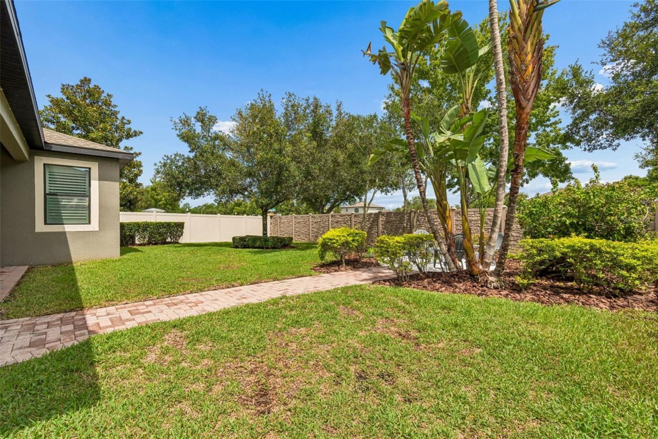 1657 Feather Grass Loop, Lutz, FL 33558 Photo