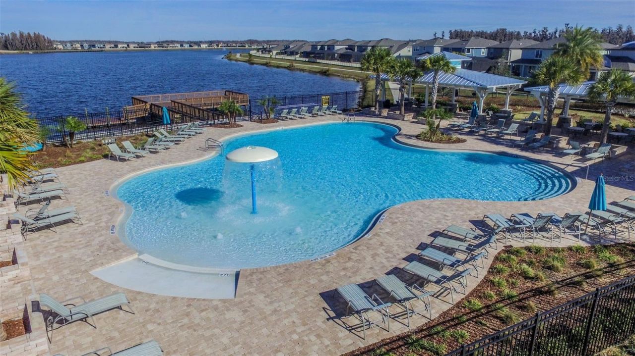 1657 Feather Grass Loop, Lutz, FL 33558 Photo