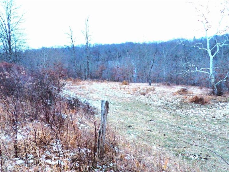 Moore Ridge, Jerusalem, OH 43747 Photo 11
