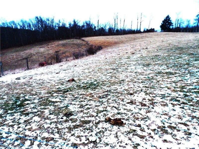 Moore Ridge, Jerusalem, OH 43747 Photo 5