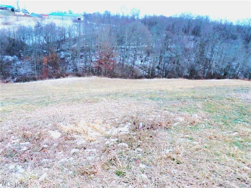 Moore Ridge, Jerusalem, OH 43747 Photo 7
