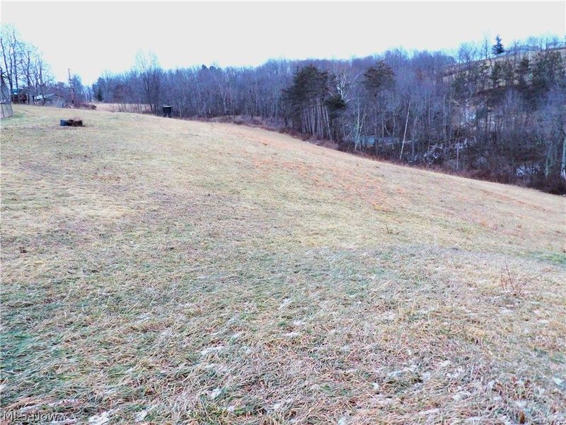 Moore Ridge, Jerusalem, OH 43747 Photo 8