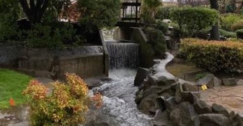 188 Leafwood Way, Folsom, CA 95630 Photo