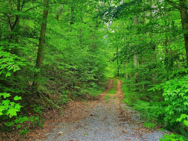 LOT 50 S Highway 340 , Parrottsville, TN 37843