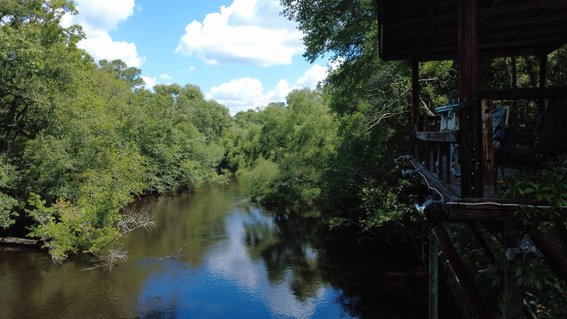 243 Alton Lane , Sopchoppy, FL 32358 Photo