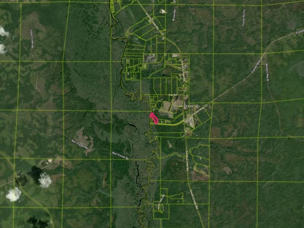 243 Alton Lane , Sopchoppy, FL 32358 Photo