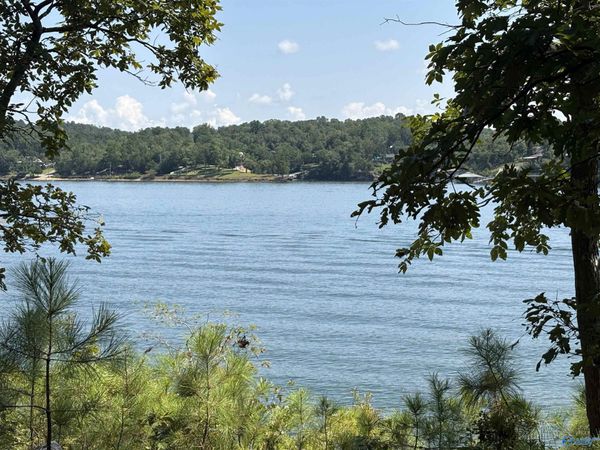 41 Acres Big Bear Branch Road, Double Springs, AL 35553
