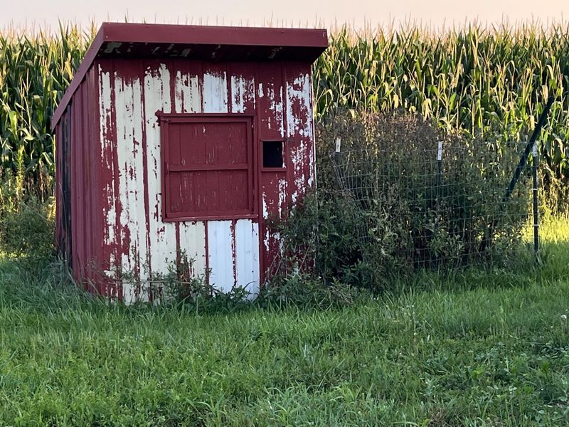 648 N State Route 235, Saint Paris, OH 43072 Photo 30